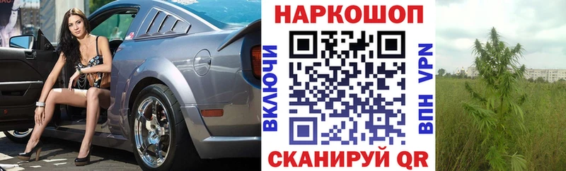 Магазины продажи наркотиков Борзя МАРИХУАНА  APVP  Мефедрон  Cocaine 