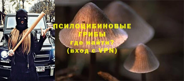 МДПВ Арсеньев