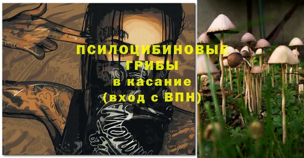 МДПВ Арсеньев